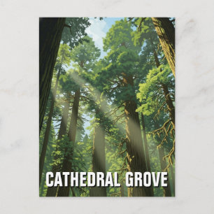 Cathedral Grove MacMillan Provincial Park Resa Vykort
