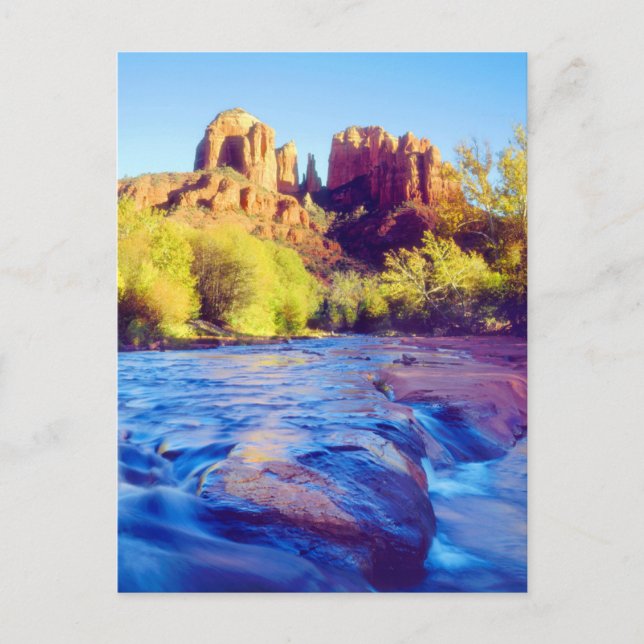 Cathedral Rock reflekterande i Oak Creek, Arizona Vykort (Framsida)
