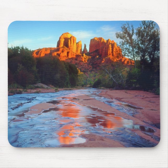 Cathedral Rock reflekterande i Oak Creek vid solne Musmatta (Framsidan)