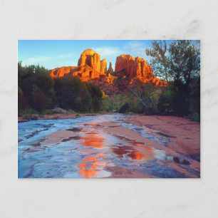 Cathedral Rock reflekteras i Oak Creek vid solnedg Vykort