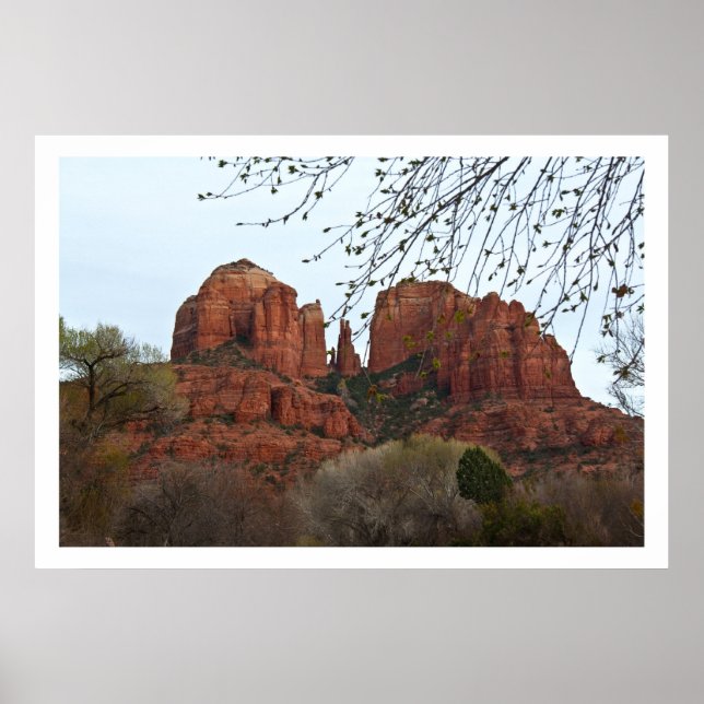 Cathedral Sten Poster (Framsidan)