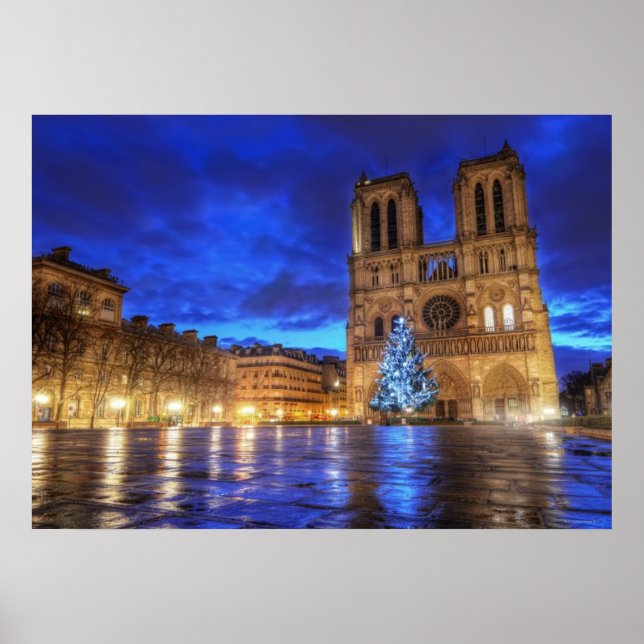 Cathédrale Notre-Dame de Paris Poster (Framsidan)