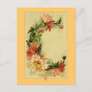 Catherine Klein Flower Alphabet C Chrysanthemum Vykort