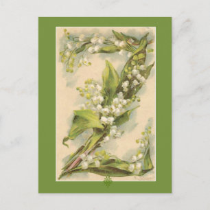 Catherine Klein Flower Alphabet Z Lily of Valley Vykort