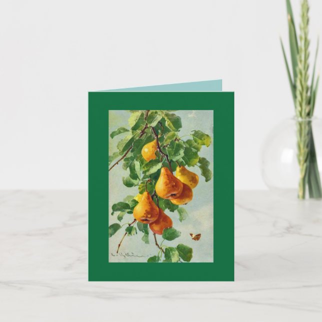 Catherine Klein pears.  NOTERA KORTET GRN Kort (Framsida)