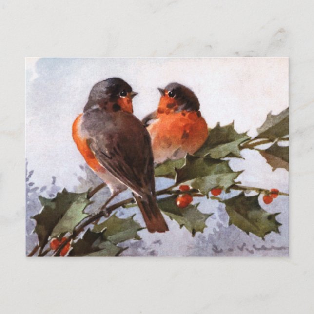 Catherine Klein: Robins on Holly Vykort (Framsida)