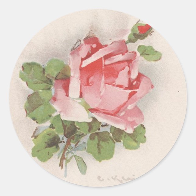 Catherine Kleins Rosa ros Runt Klistermärke (Framsida)