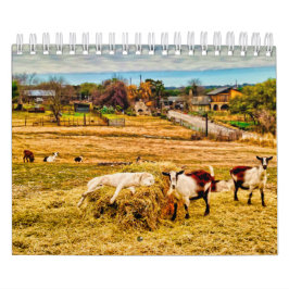 Cathy P. Jones 2019 Kalender