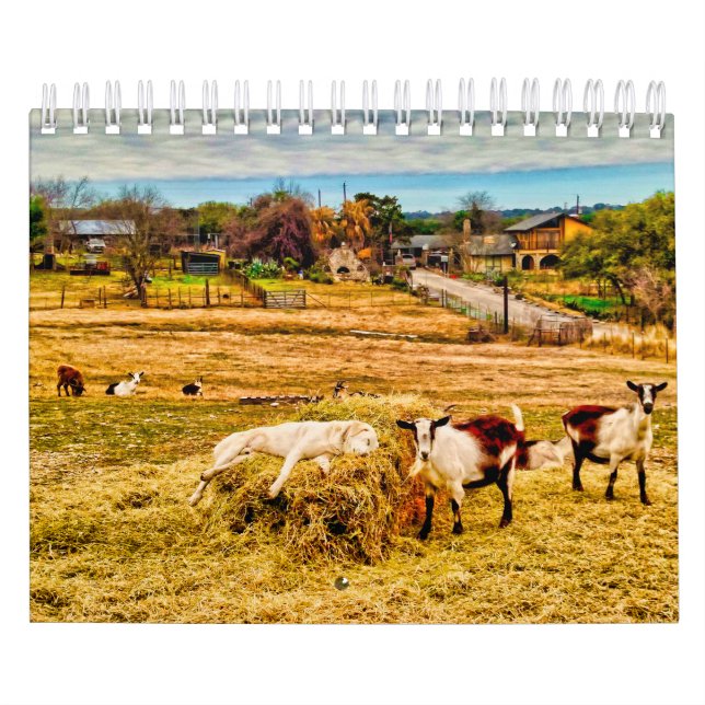 Cathy P. Jones 2019 Kalender (Omslag)