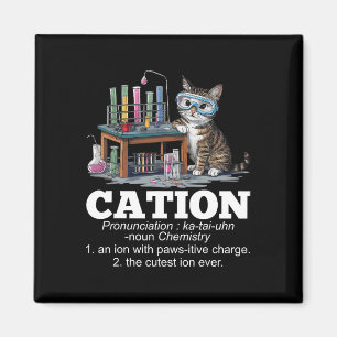 Cation Chemistry Humor Science Teacher Cat Pun Rol Magnet