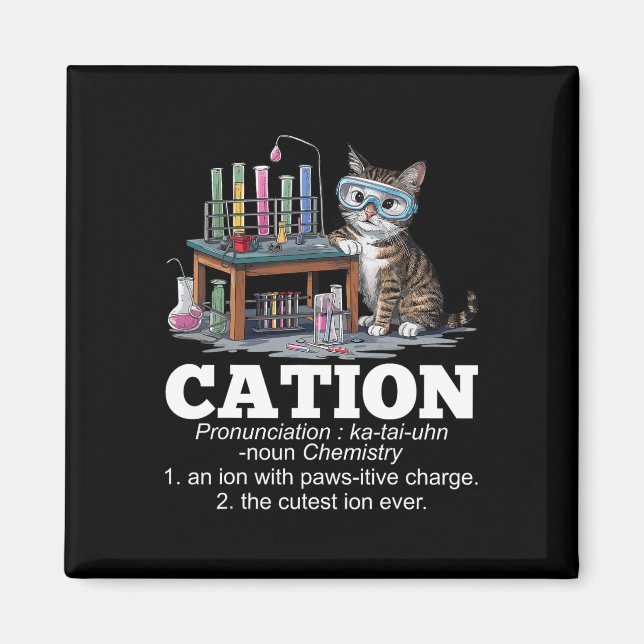Cation Chemistry Humor Science Teacher Cat Pun Rol Magnet (Framsidan)