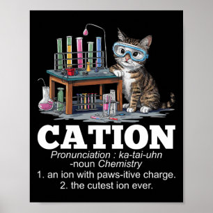 Cation Chemistry Humor Science Teacher Cat Pun Rol Poster