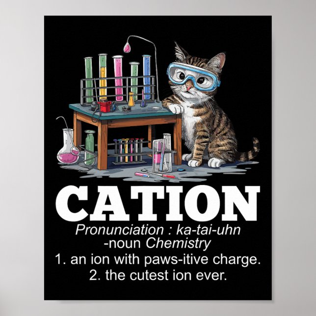 Cation Chemistry Humor Science Teacher Cat Pun Rol Poster (Framsidan)