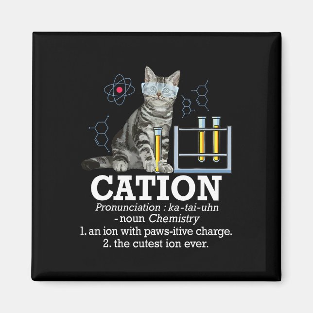 Cation - Funny Chemistry Humor Science Teacher Cat Magnet (Framsidan)