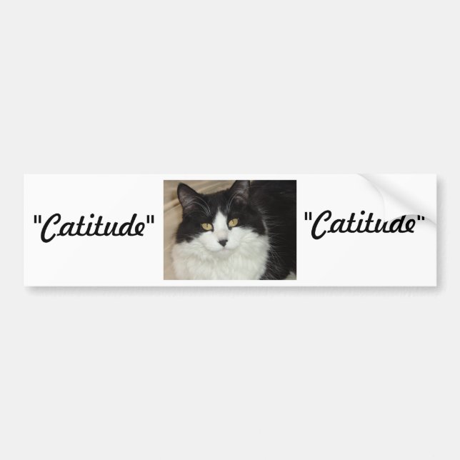 Catitude Cat with an Attitude Bildekal (Framsidan)