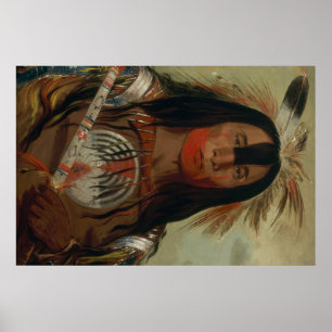 Catlin indiankonst poster