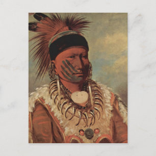 Catlin Native American Art Vykort