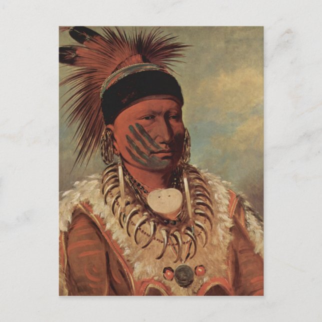 Catlin Native American Art Vykort (Framsida)