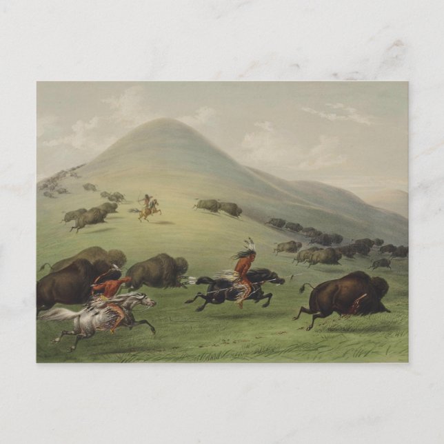 Catlin Native American Art Vykort (Framsida)