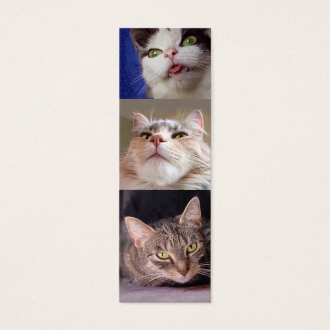 Catlovers bokmärke litet visitkort (Framsidan)