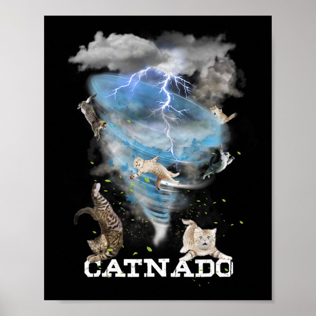 Catnado Funny Best Graphic Cute Cat Lover Poster (Framsidan)