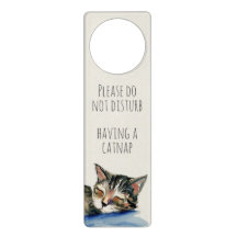 Catnap