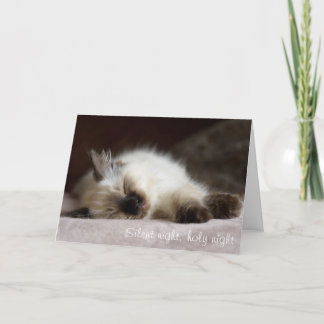 Catnapping julkort helgkort