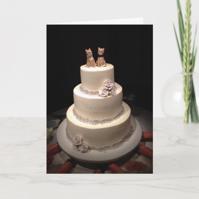 Catnip Kort (Framsida)