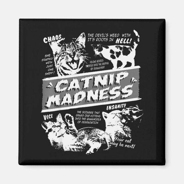 Catnip Madness Cute Kitten Funny Cat Pet Humor  Magnet (Framsidan)