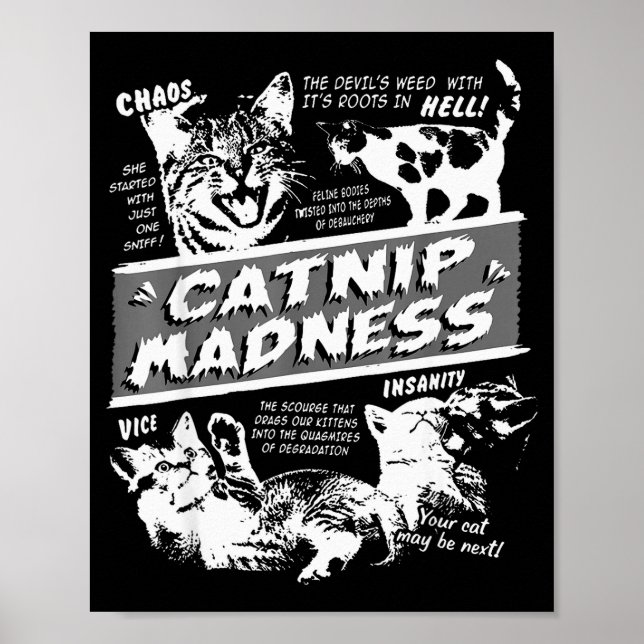 Catnip Madness Cute Kitten Funny Cat Pet Humor  Poster (Framsidan)