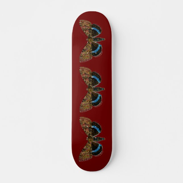 Catocala fraxini skateboard bräda 20,5 cm (Framsida)
