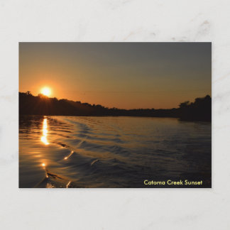 Catoma Bäck Sunset Vykort