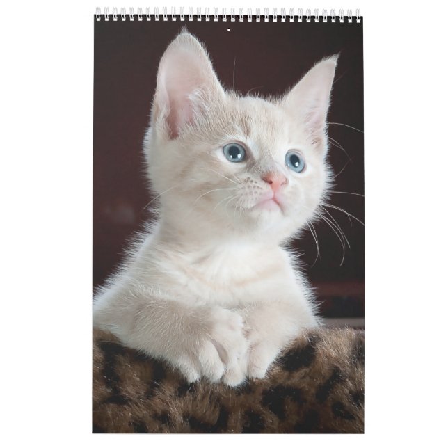 Cats älskare Calendar Kalender (Baksida)
