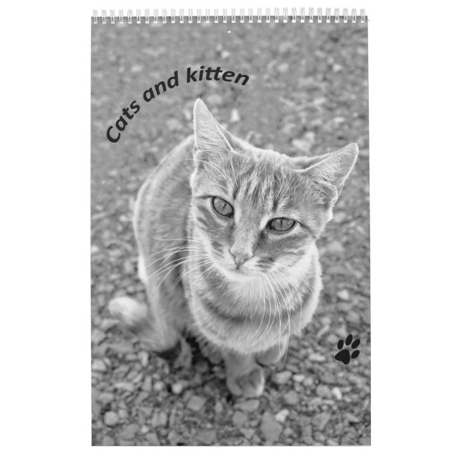 Cats and kitten kalender (Omslag)