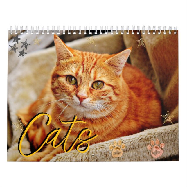 Cats Beval Pet Porträtt Kalender (Omslag)