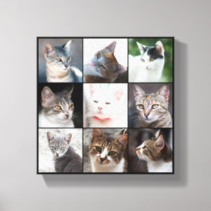 CATS CANVASTRYCK