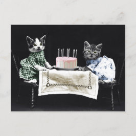 Cats celebrating a birthday with cake and candles vykort