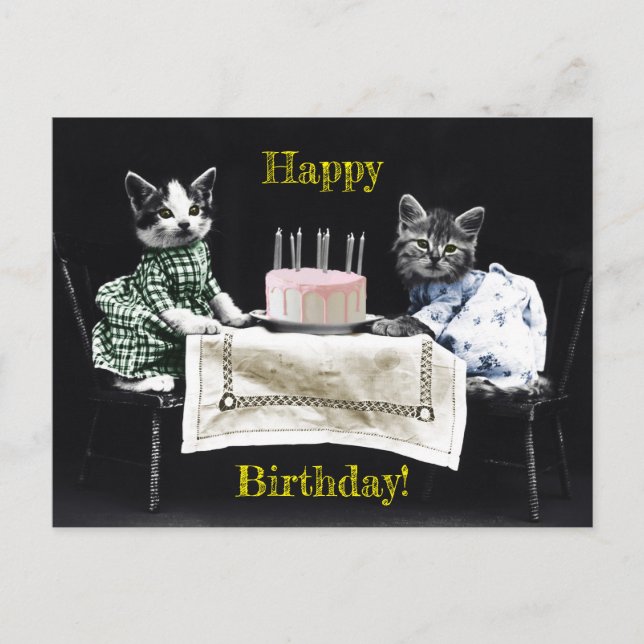 Cats celebrating a birthday with cake and candles vykort (Framsida)