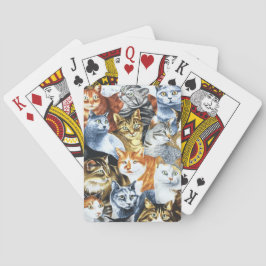 CATS Clowder Casinokort