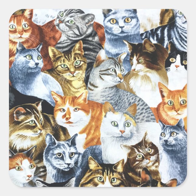 CATS Clowder Fyrkantigt Klistermärke (Framsida)