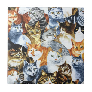 CATS Clowder Kakelplatta