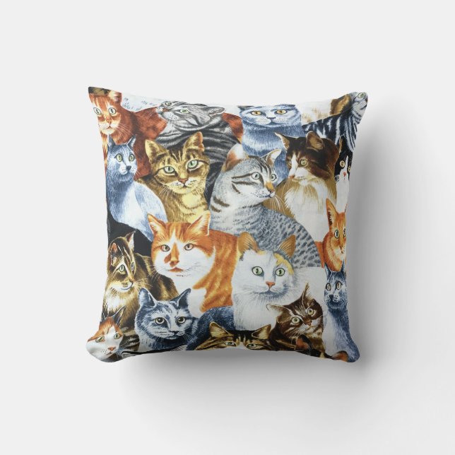 CATS Clowder Kudde (Framsida)
