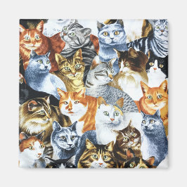 CATS Clowder Magnet
