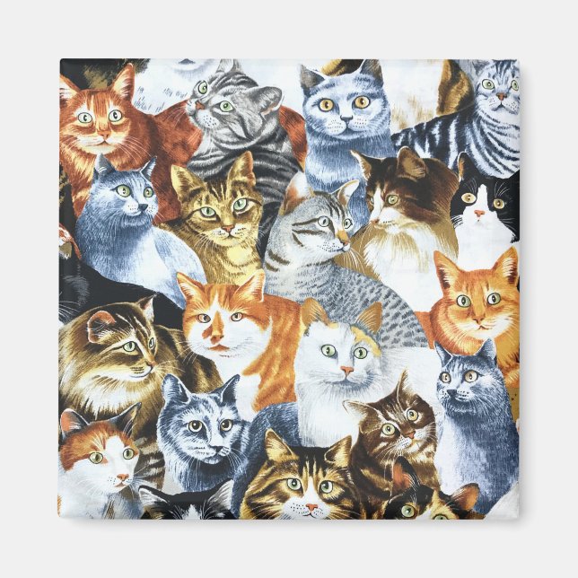 CATS Clowder Magnet (Framsidan)