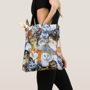 CATS Clowder Tygkasse