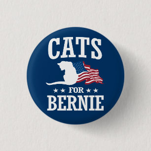 CATS FOR BERNIE SANDERS KNAPP