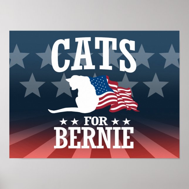 CATS FOR BERNIE SANDERS POSTER (Framsidan)