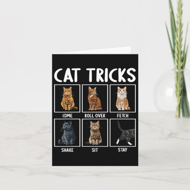 Cats Funny Cat Tricks Kort (Framsida)