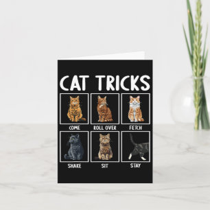 Cats Funny Cat Tricks Kort