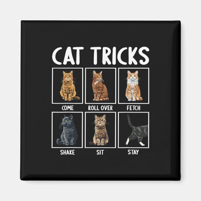 Cats Funny Cat Tricks Magnet (Framsidan)